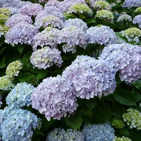 Le Secadou Casa de Férias