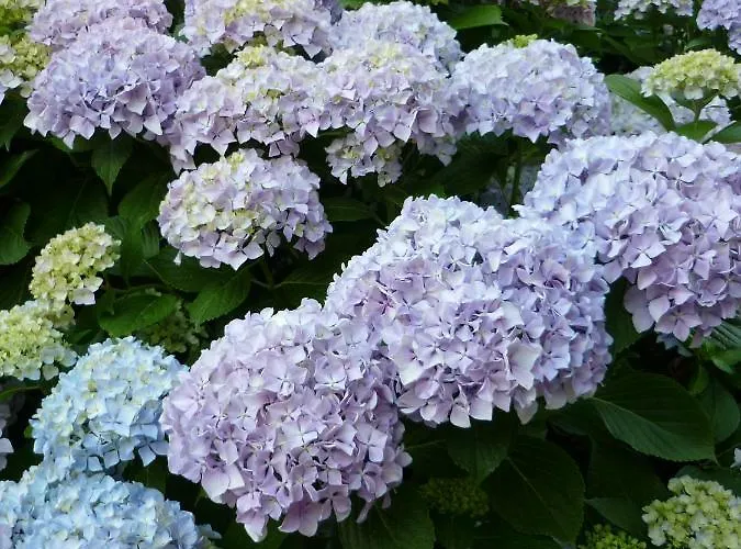 Le Secadou Hébergement de vacances